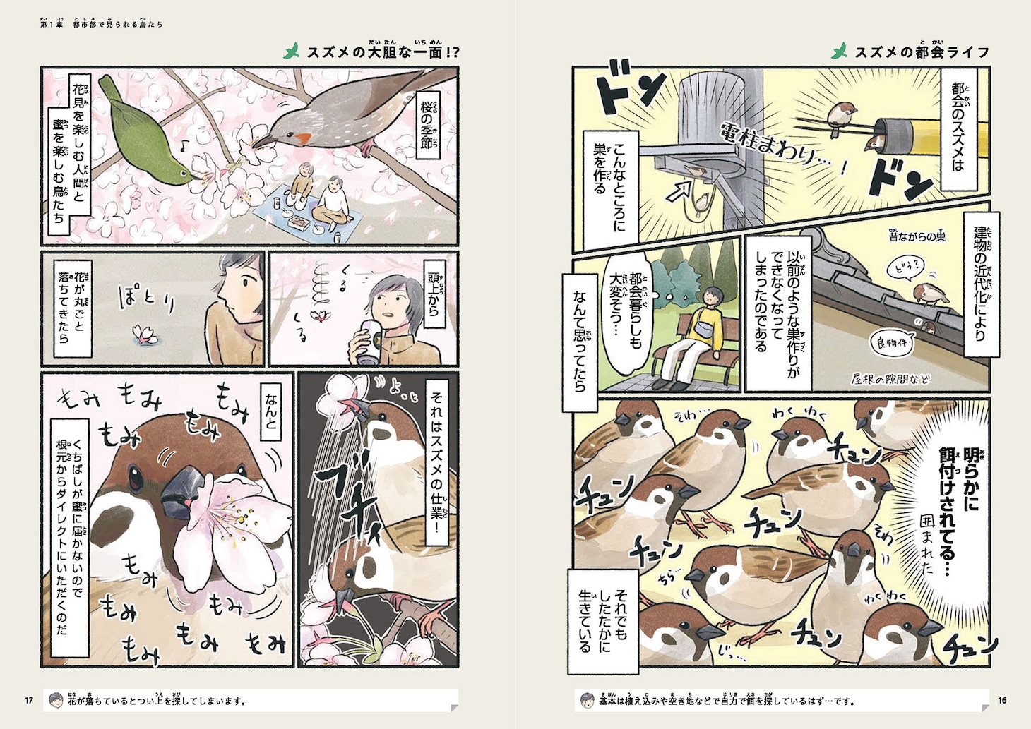 「意外と知らない鳥の生活」より。