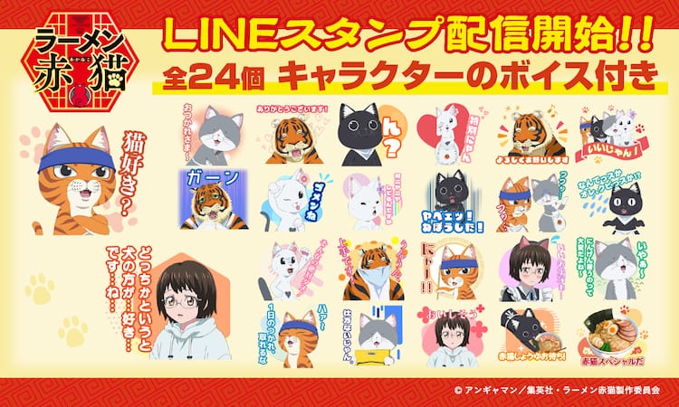 KIMI-PONさま ご確認用です 使い切り