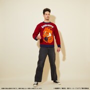 「アグリーセーター〈エンデヴァー〉」