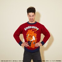 「アグリーセーター〈エンデヴァー〉」