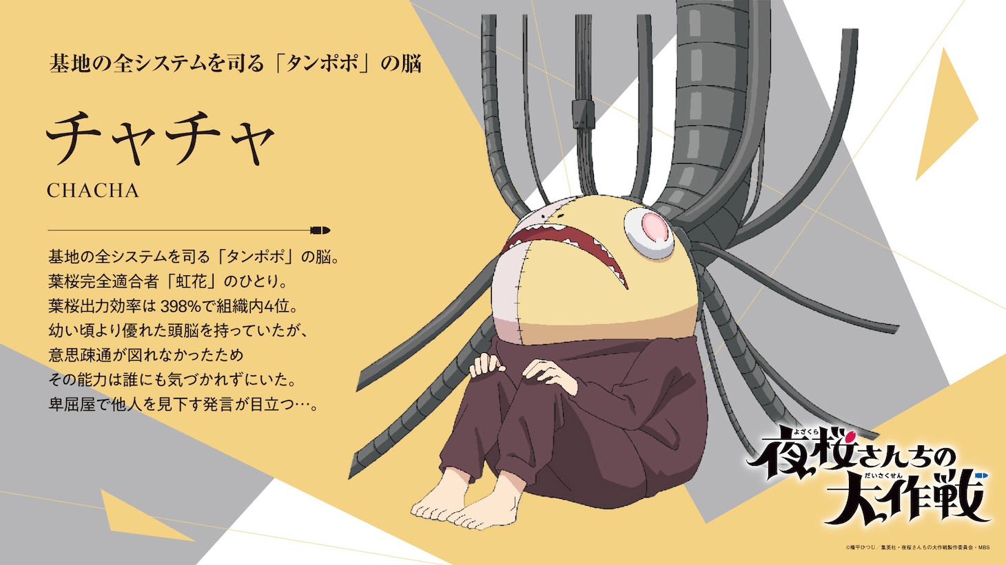 チャチャのプロフィール。