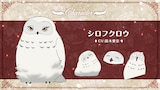 シロフクロウ(CV:鈴木愛奈) (c)坂/KADOKAWA/ある魔女が死ぬまで製作委員会