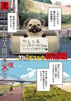 「INNU-イッヌ-」より。