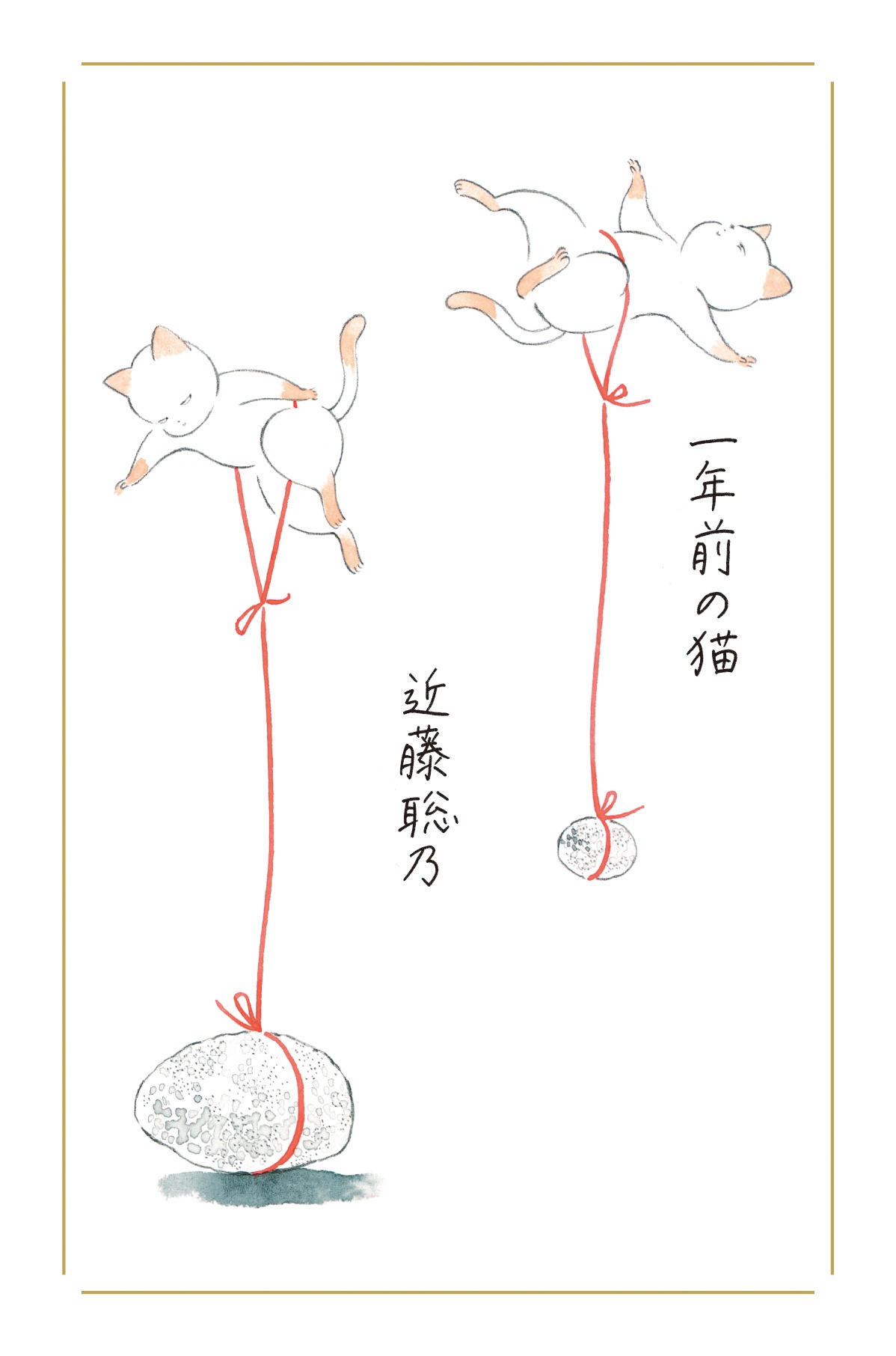 「一年前の猫」