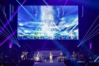 トゲナシトゲアリ