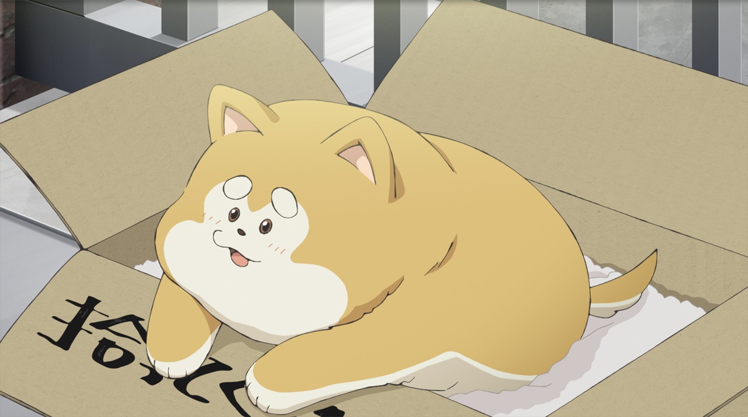 TVアニメ「君は冥土様。」第2弾ティザーPVより。