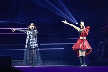 内田真礼×平野綾 (c)Animelo Summer Live 2024