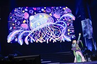 カノエラナ (c)Animelo Summer Live 2024