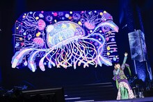 カノエラナ (c)Animelo Summer Live 2024