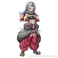 新たな職業・まもの使いのルックスB。