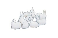 ホッキョクウサギ