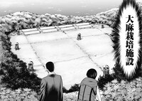 「カンナビス」1巻より。