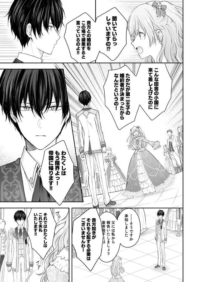 「婚約破棄された王太子を慰めたら、業務命令のふりした溺愛が始まりました。」より。