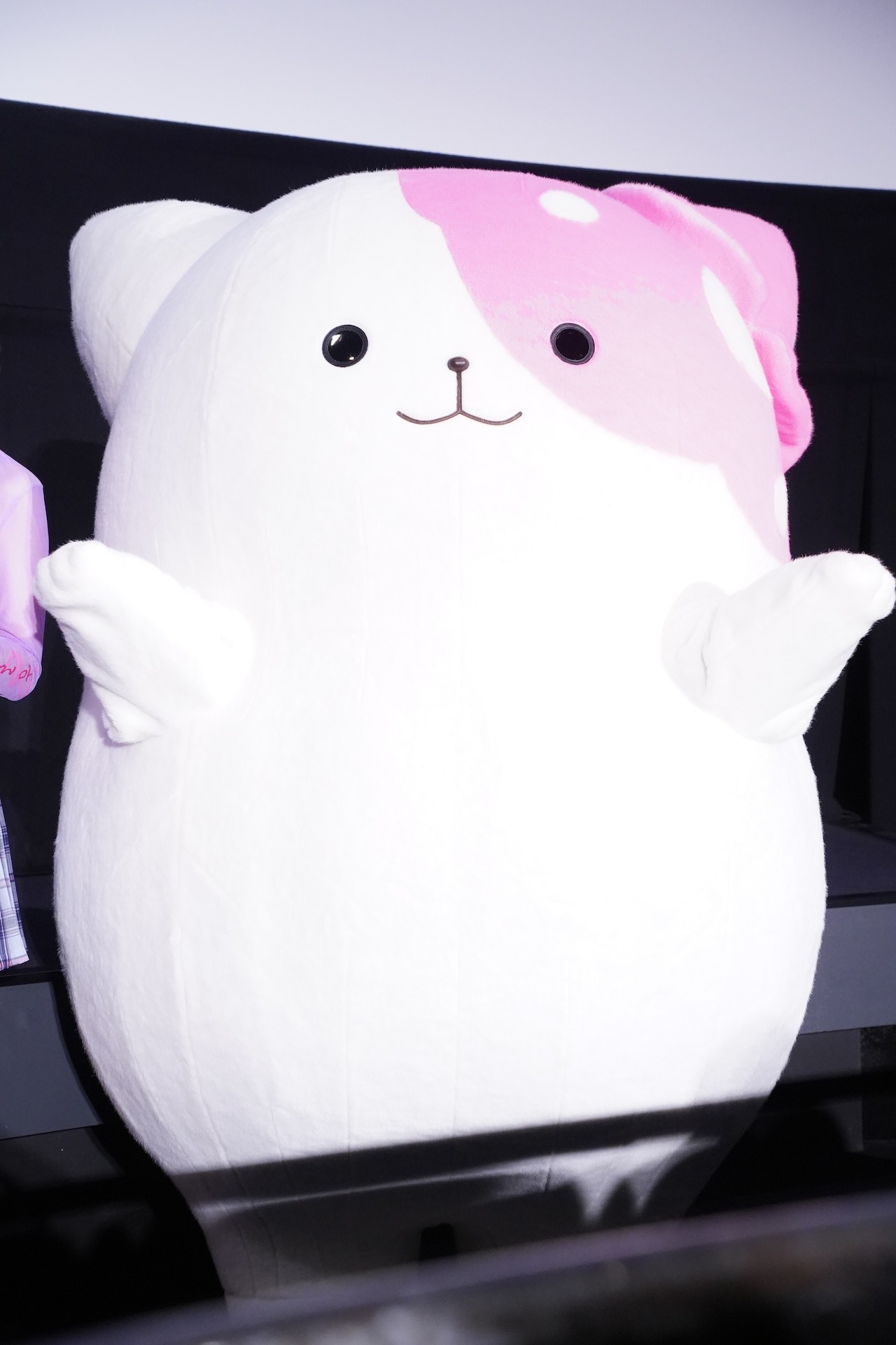 きのこいぬ