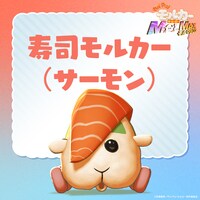 寿司モルカー（サーモン）。ファッションを優先しすぎたため、運転がしづらい。