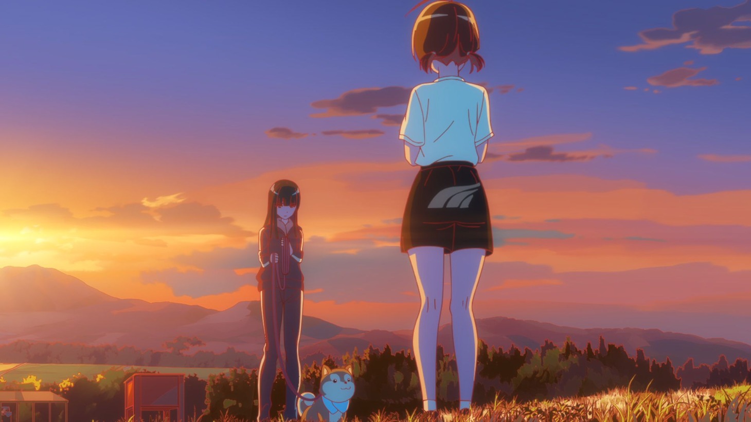 「菜なれ花なれ」第12話「花になれ」より。