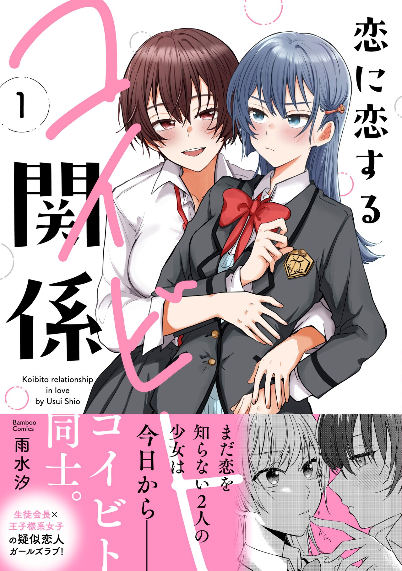 恋に恋するコイビト関係　雨水汐　サイン本　直筆サイン　イラスト入り 恋に恋するコイビト関係雨水汐サイン本直筆サインイラスト入り