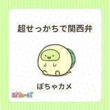 ぽちゃカメ（CV：寺澤百花）