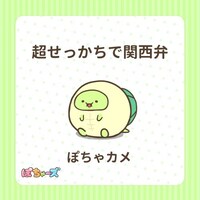 ぽちゃカメ（CV：寺澤百花）