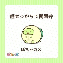 ぽちゃカメ（CV：寺澤百花）