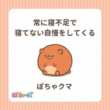 ぽちゃクマ（CV：寺澤百花）