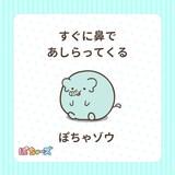 ぼちゃゾウ（CV：寺澤百花）