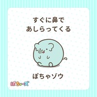 ぼちゃゾウ（CV：寺澤百花）