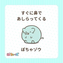 ぼちゃゾウ（CV：寺澤百花）