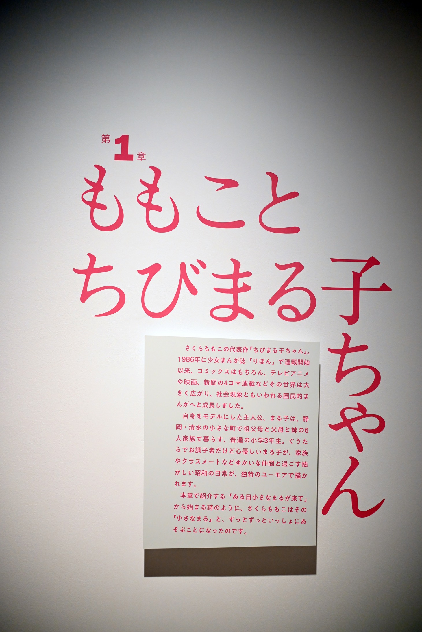 「第1章『ももことちびまる子ちゃん』」より。 (c)さくらももこ　(c)さくらももこプロダクション