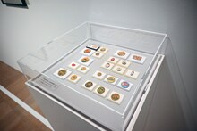 「第3章『ももこのまいにち』」より。 (c)さくらももこ　(c)さくらももこプロダクション