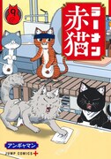 「ラーメン赤猫」9巻