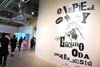「『ONE PIECE ONLY』展」の様子。