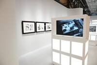 「『ONE PIECE ONLY』展」の様子。