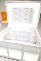 「『ONE PIECE ONLY』展」の様子。