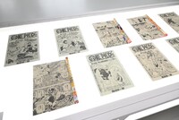 「『ONE PIECE ONLY』展」の様子。