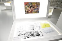 「『ONE PIECE ONLY』展」の様子。