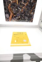 「『ONE PIECE ONLY』展」の様子。