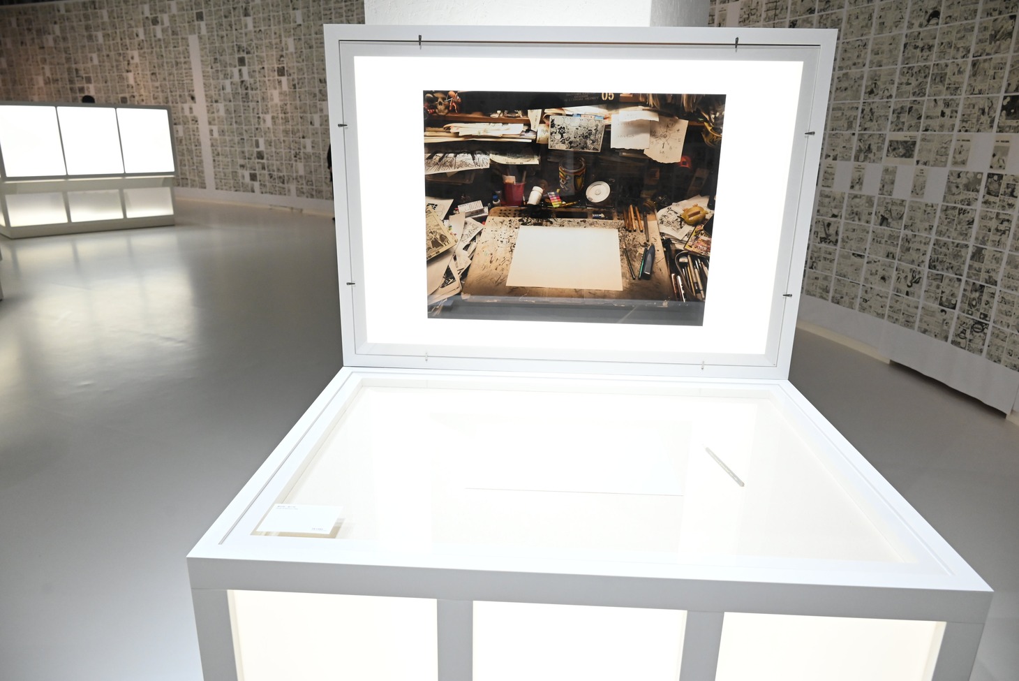 「『ONE PIECE ONLY』展」の様子。