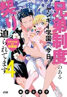 「兄弟制度のあるヤンキー学園で、今日も契りを迫られてます」4巻の特装版。