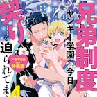 「兄弟制度のあるヤンキー学園~」4巻にドラマCD付き特装版 内容異なるドラマCDも同発