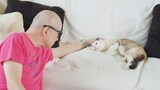 「ネコメンタリー 猫も、杓子（しゃくし）も。　和田ラヂヲとシャム朗」より。（写真提供：NHK）
