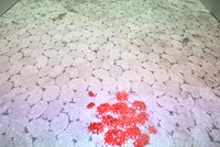 「東京喰種EX.（イーエックス）」の様子。歩いた場所に血飛沫が舞う演出の展示。