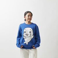 ゴマちゃんのセーター（ブルー）の着用イメージ。