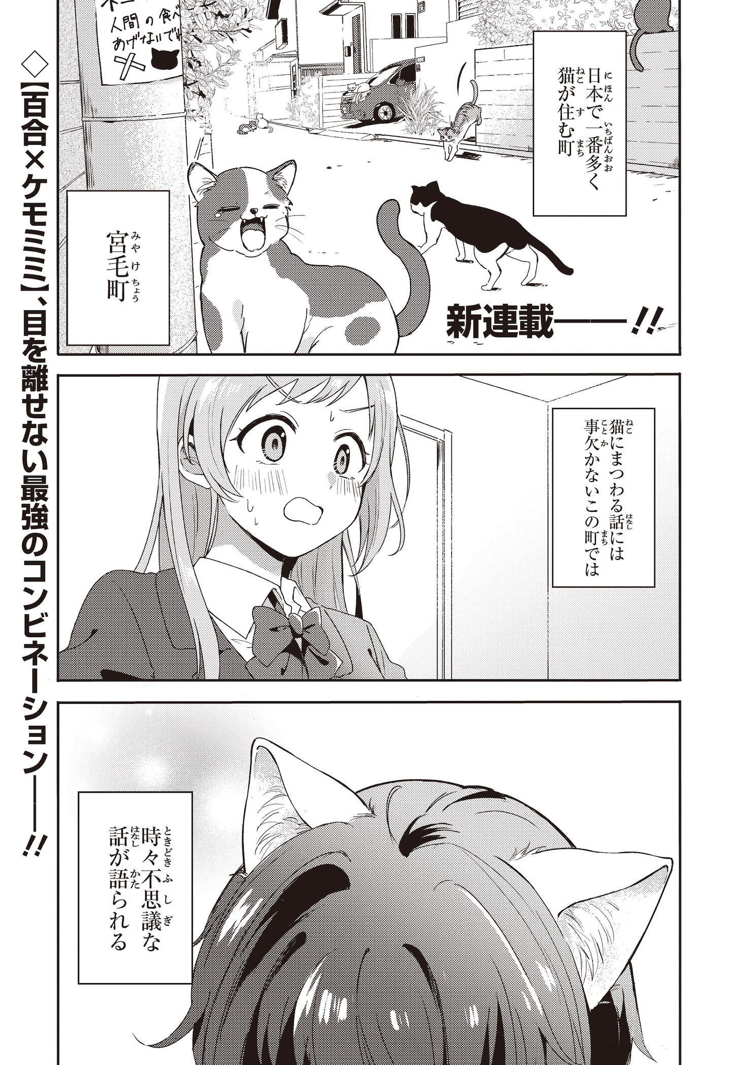 「幼馴染は、にゃあと鳴いてスカートのなか」より。
