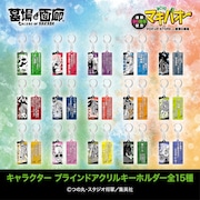 「キャラクター ブラインドアクリルキーホルダー全15種」