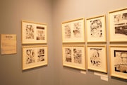 展示の様子。