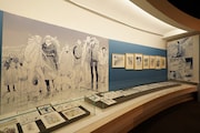 展示の様子。