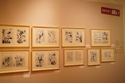 展示の様子。