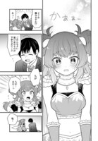 「妖精戦士アミュレージュのサポーターになりまして」より。