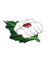 魚豊のプロフィールイラスト。